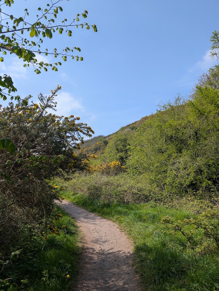 The path up Cavehill.