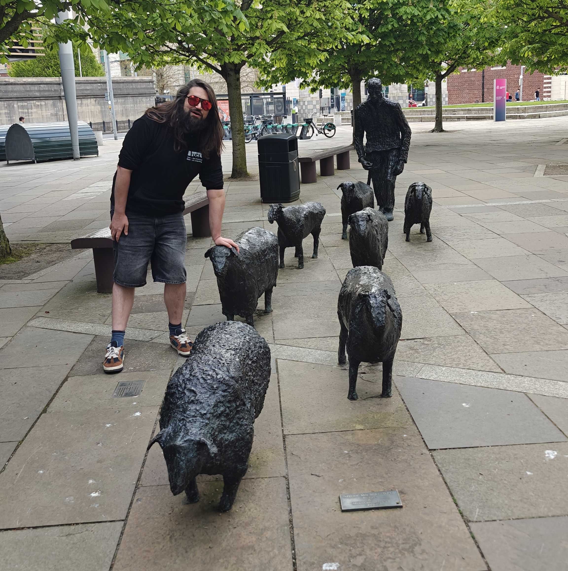 Sheep!