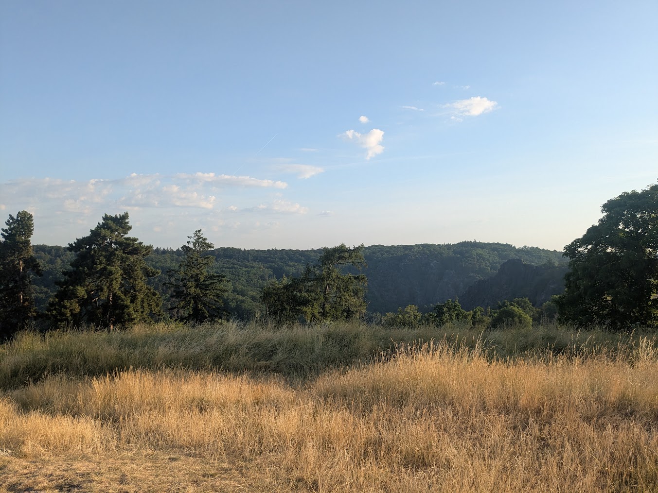 The view from Divoká Šárka.