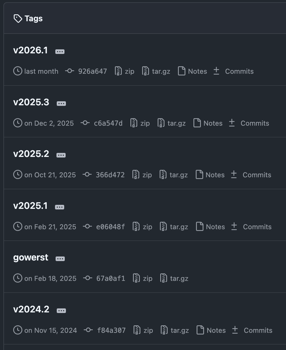 A screenshot from GitHub of all tags made since working on the grant.